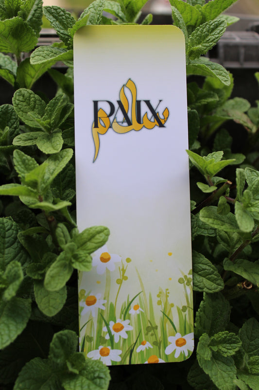 Salam - Paix